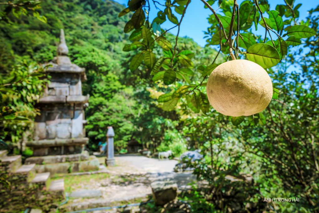 Thu về trên đỉnh Ngọa Vân 