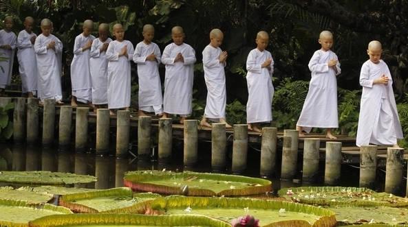 Cùng nghiệp thì kết duyên với nhau 