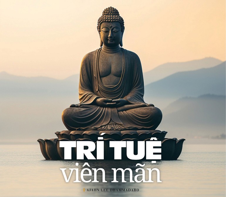 Trí tuệ viên mãn 