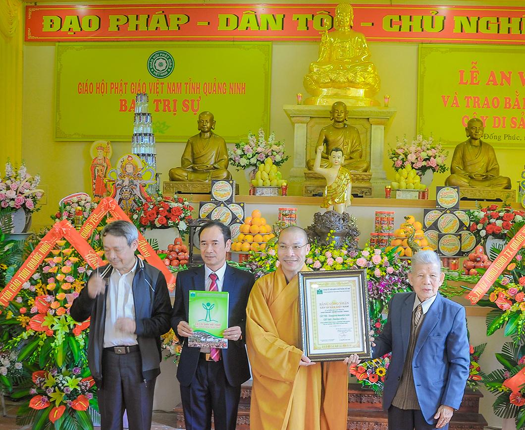 Chùa Đống Phúc an vị tượng Phật và đón nhận bằng Cây di sản Việt Nam: cây thị 900 tuổi và cây gạo 400 tuổi 