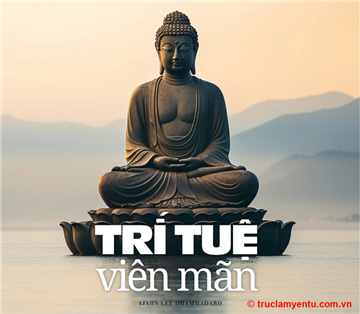 Trí tuệ viên mãn